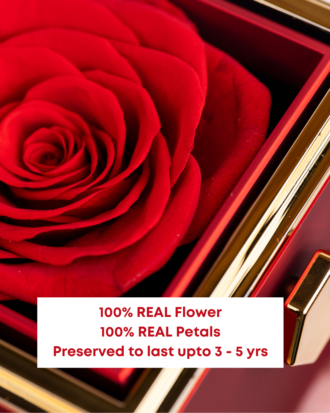Original Preserved Rose Box & Premium Personalized Necklace