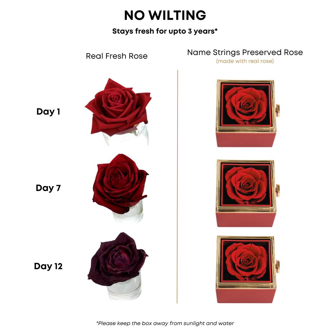 Real Preserved Rose Box + Engraved Necklace