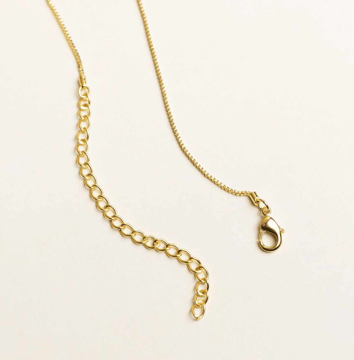 Bar Necklace + Real Preserved Rose Box - Name Strings