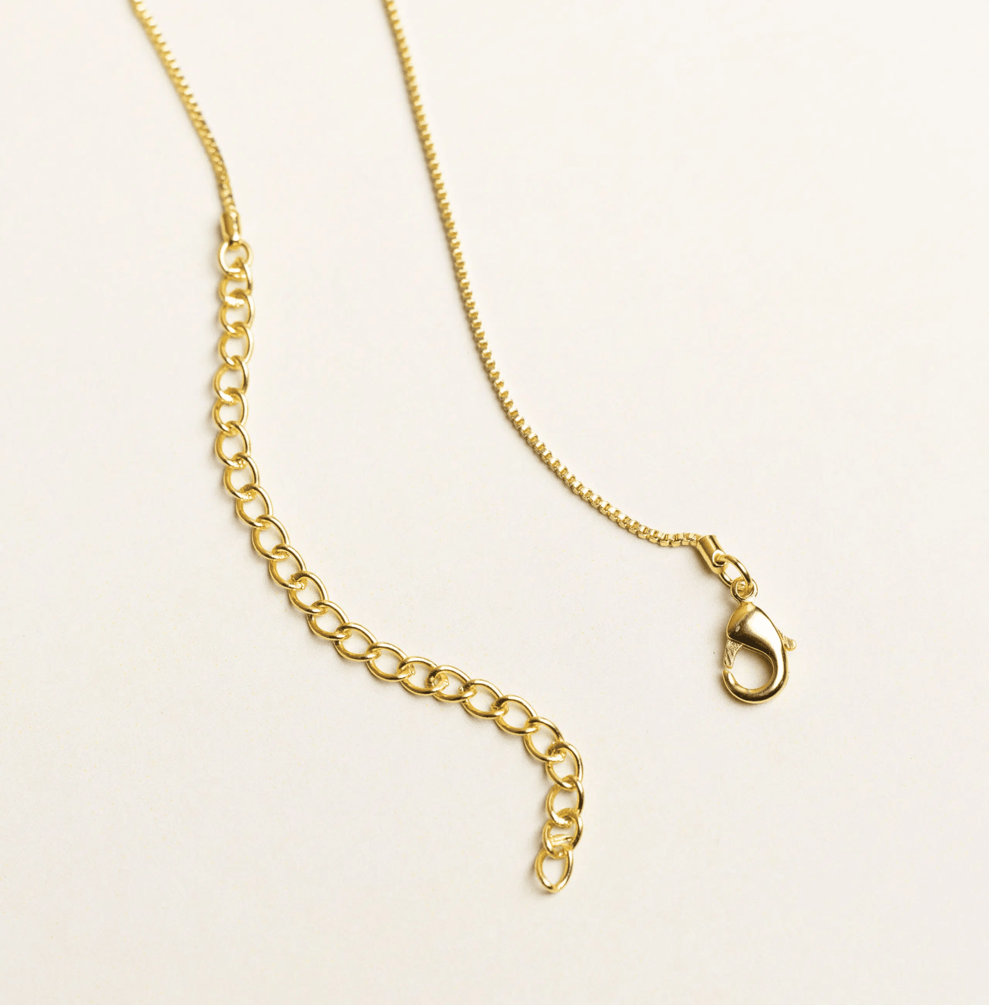 Bar Necklace + Real Preserved Rose Box - Name Strings
