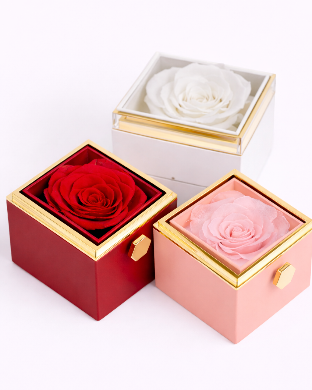 Original Preserved Rose Box & Premium Personalized Necklace