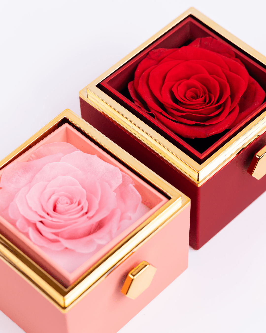 Original Preserved Rose Box & Premium Personalized Necklace - Name Strings