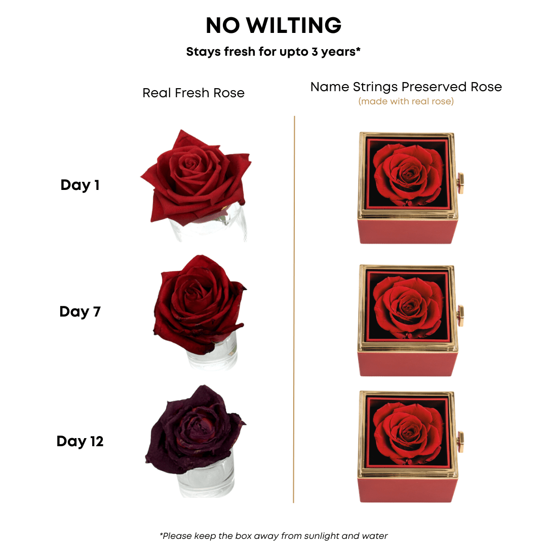 Original Preserved Rose Box & Premium Personalized Necklace - Name Strings
