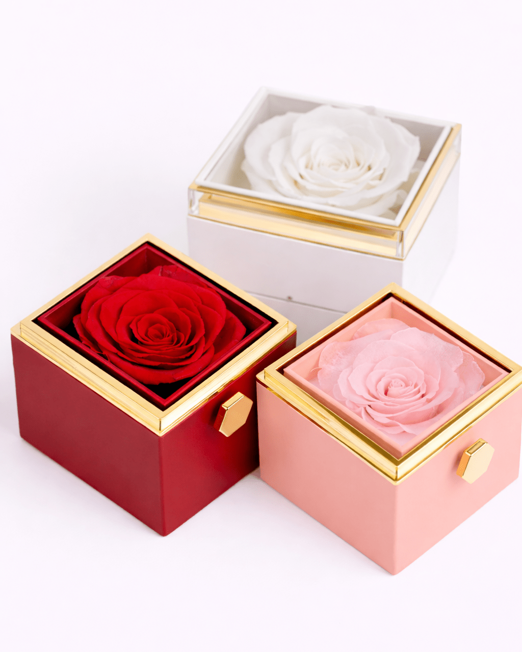 Original Preserved Rose Box & Premium Personalized Necklace - Name Strings