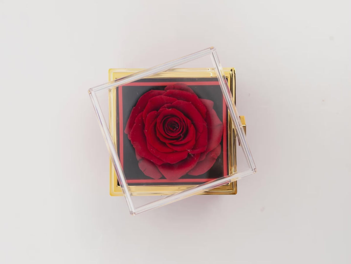 Bar Necklace + Real Preserved Rose Box